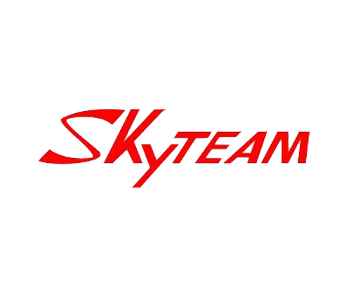 Sky Team Logo