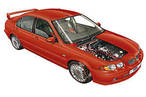 Picture of Mg ZS