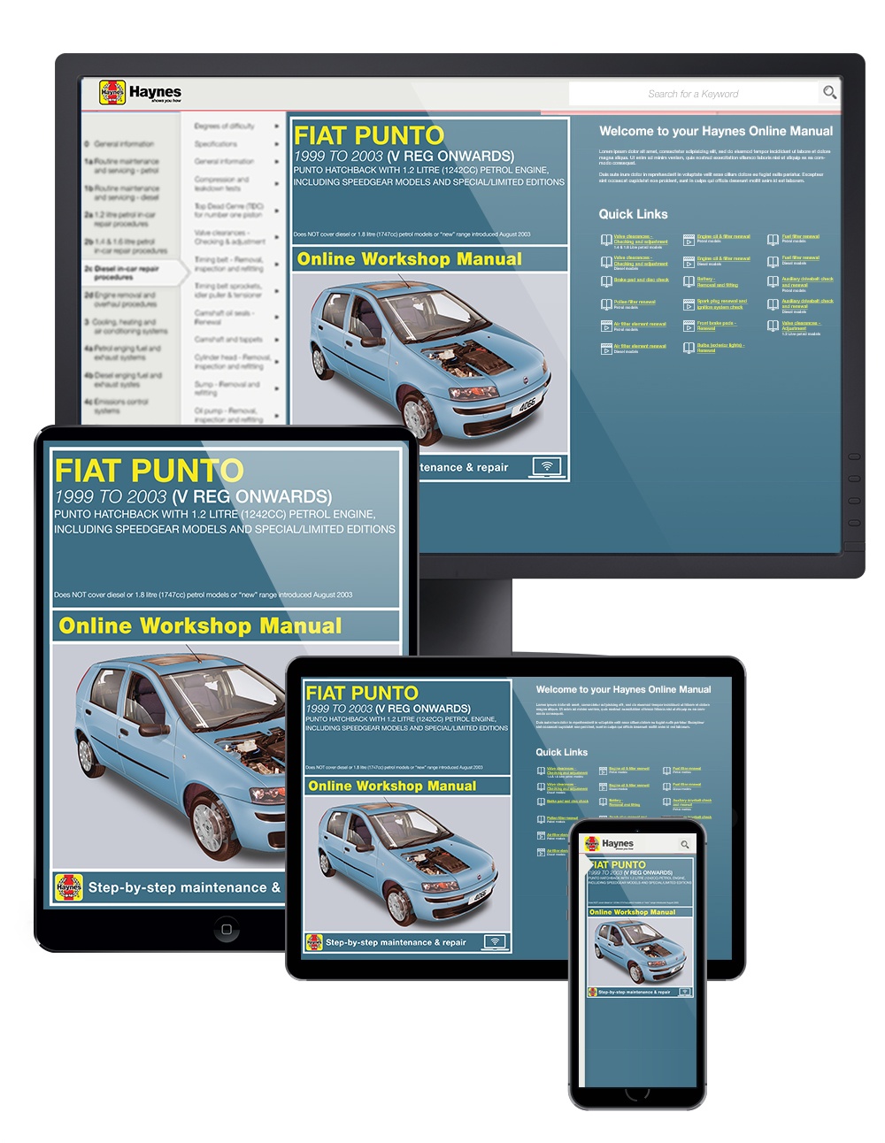 Fiat PUNTO Haynes Repair Manuals & Guides