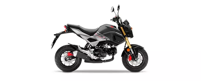 Haynes publishes new Service and Repair Manual for Honda MSX125 Grom models