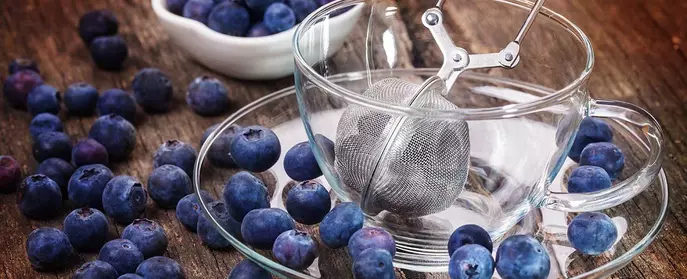 Use your Infusion: how to flavour your spirits with foraged fruit