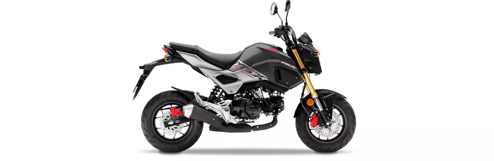 Haynes publishes new Service and Repair Manual for Honda MSX125 Grom models
