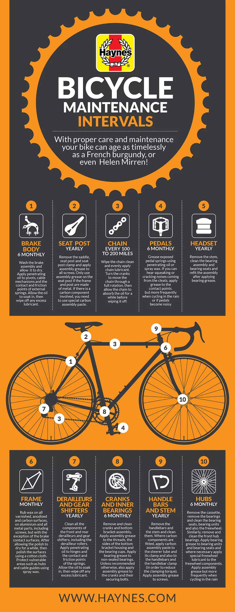 Simple bike maintenance intervals for keeping your ride timeless infographic