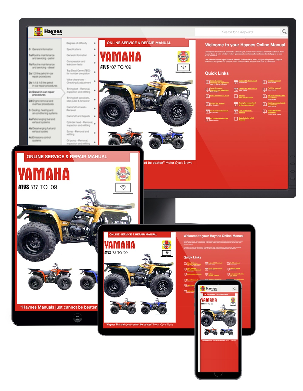 Repair Manuals & Guides For Yamaha YFB250 Timberwolf 1992 - 2000 