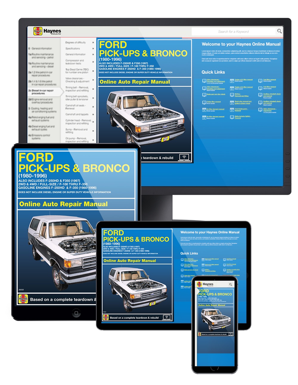 Ford Pick-Ups & Bronco 1980-96 by Chilton