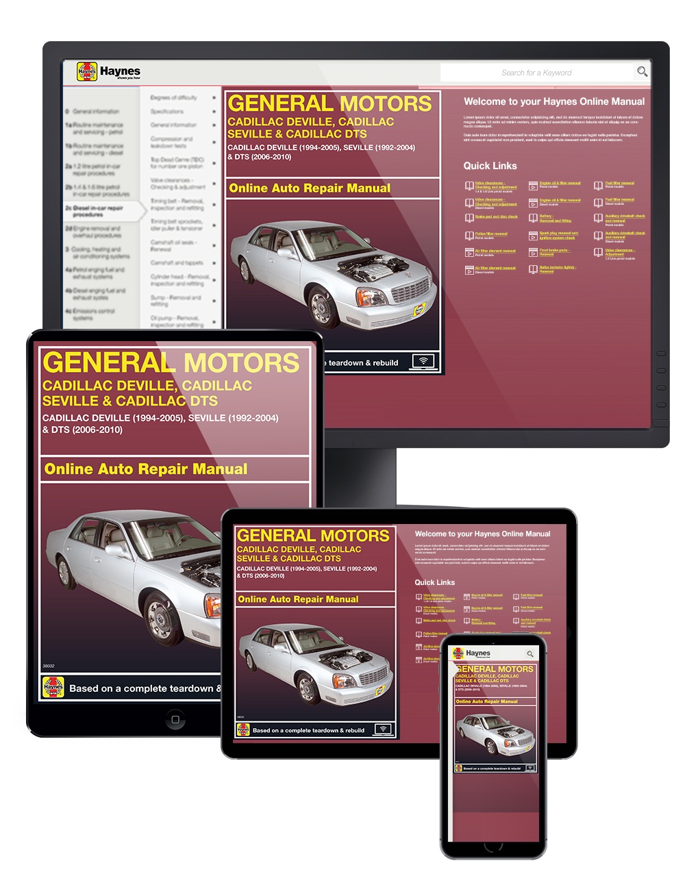 2006 Cadillac DTS Haynes Online Repair Manual-Select Access 