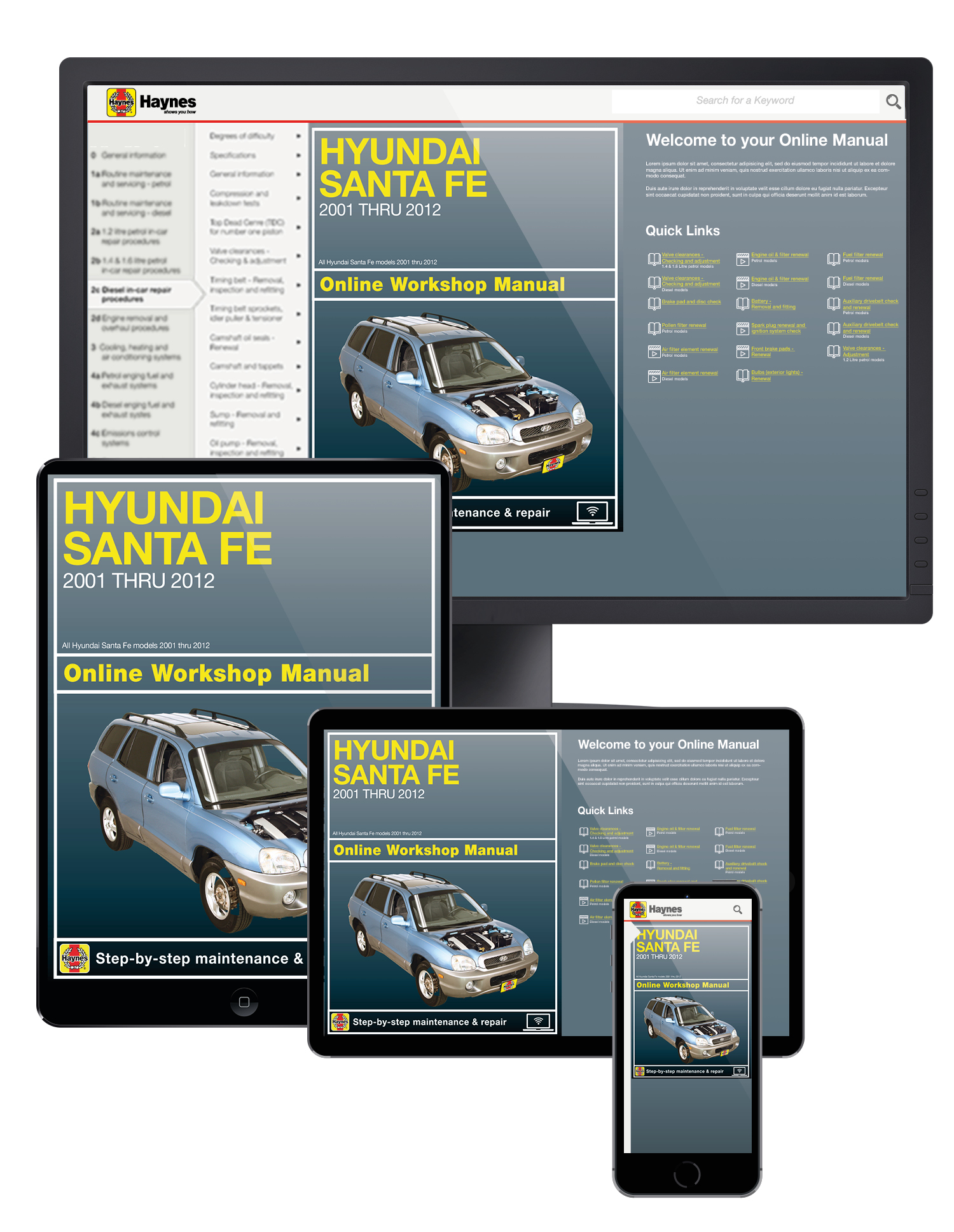 Chilton Workshop Manual Hyundai Santa Fe 2001-2012 nouveau Service De Réparation 