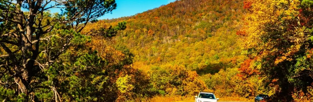 Driving through scenic autumn scene