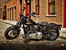 2008 Harley-Davidson Cross Bones